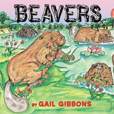 Beavers 1