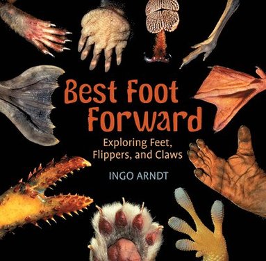 Ingo Arndt - Best Foot Forward: Exploring Feet, Flippers, and Claws, Häftad