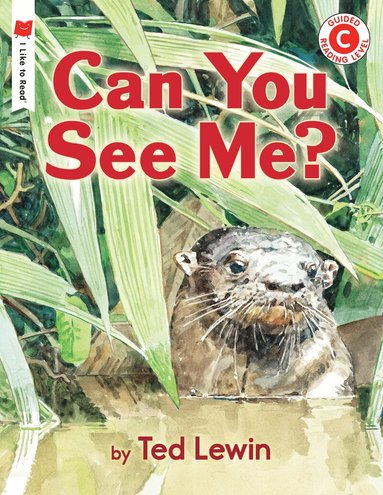 Ted Lewin - Can You See Me?, Häftad