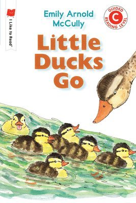 bokomslag Little Ducks Go