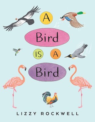 Lizzy Rockwell - A Bird Is a Bird, Häftad