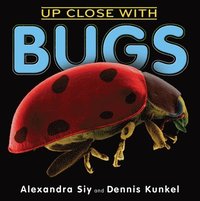 bokomslag Up Close With Bugs