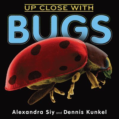 Up Close With Bugs 1