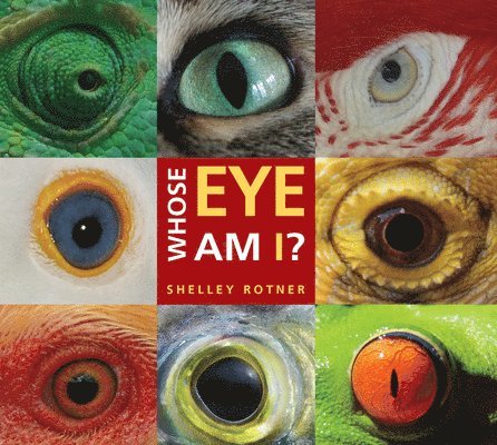 Whose Eye Am I?