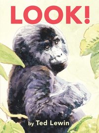 bokomslag Look!