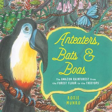 bokomslag Anteaters, Bats & Boas