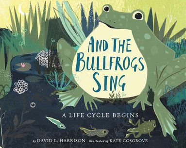 bokomslag And the Bullfrogs Sing: A Life Cycle Begins