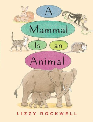 Lizzy Rockwell - A Mammal Is an Animal, Häftad