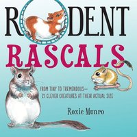 bokomslag Rodent Rascals