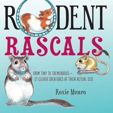 bokomslag Rodent Rascals