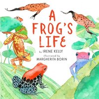 bokomslag A Frog's Life