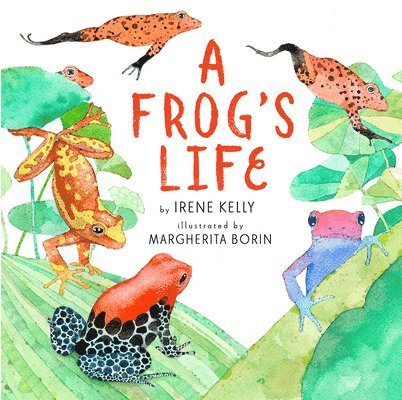 A Frog's Life 1