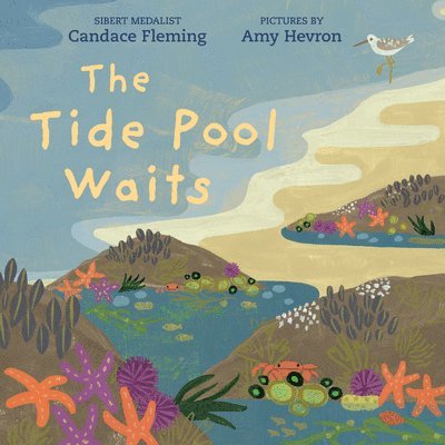 Candace Fleming - The Tide Pool Waits, Inbunden