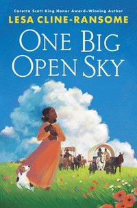 bokomslag One Big Open Sky