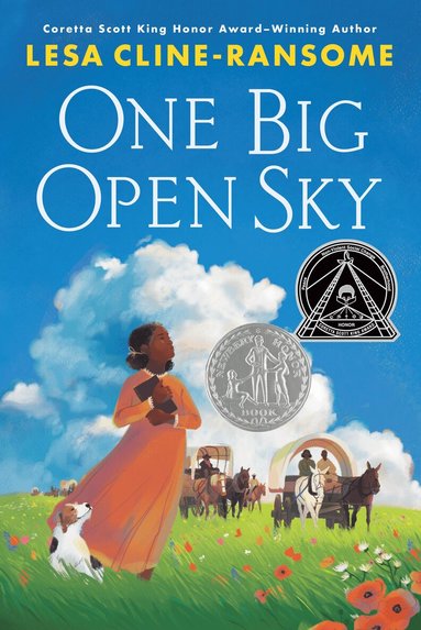 Lesa Cline-Ransome - One Big Open Sky, Inbunden