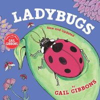 bokomslag Ladybugs