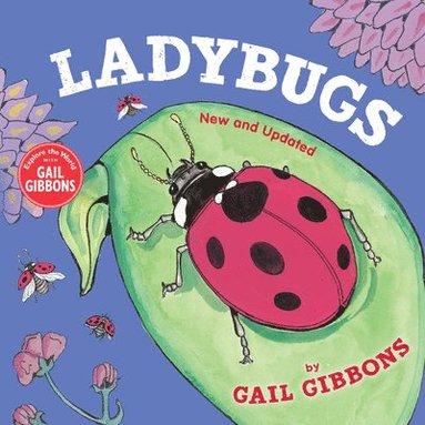 bokomslag Ladybugs