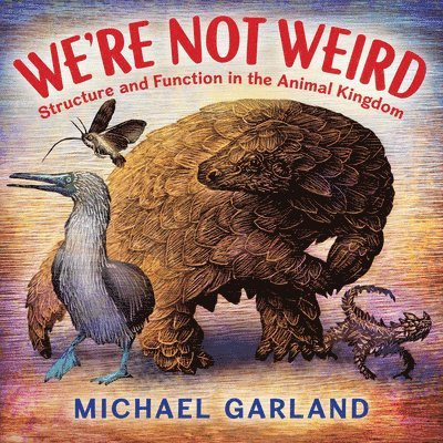 We're Not Weird 1