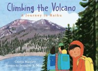 bokomslag Climbing the Volcano