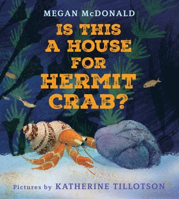 Is This a House for Hermit Crab? 1