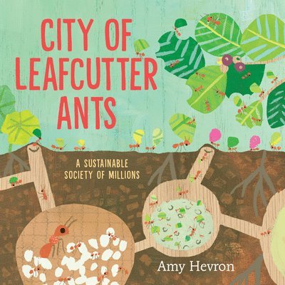 City of Leafcutter Ants 1