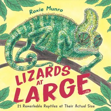 bokomslag Lizards at Large