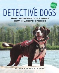 bokomslag Detective Dogs