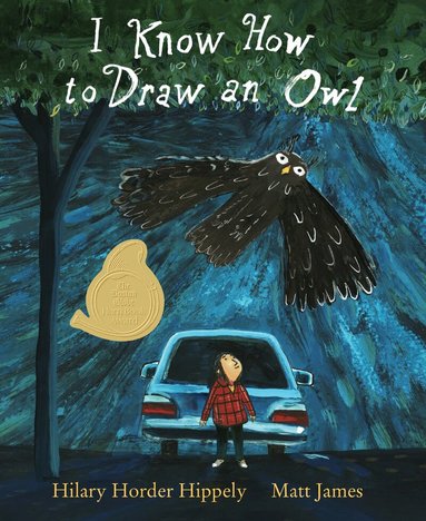 Hilary Horder Hippely - I Know How to Draw an Owl, Inbunden