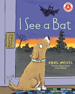Paul Meisel - I See a Bat, Häftad