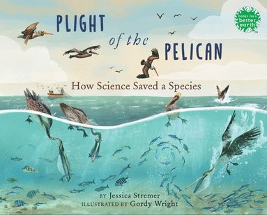 bokomslag Plight of the Pelican: How Science Saved a Species