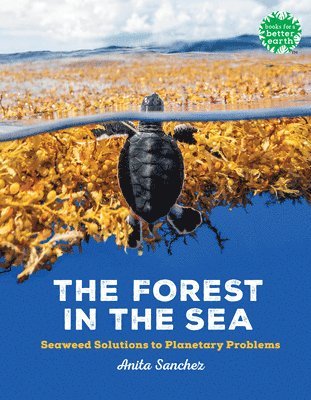 bokomslag Forest in the Sea