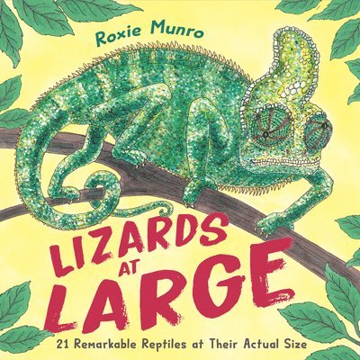 Lizards at Large 1