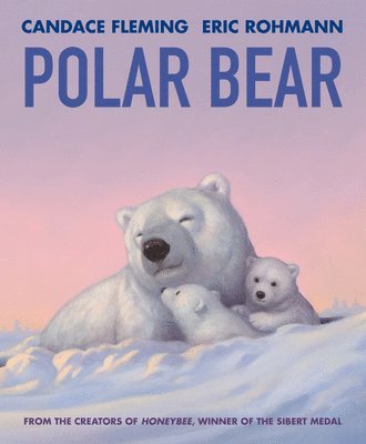 Polar Bear 1