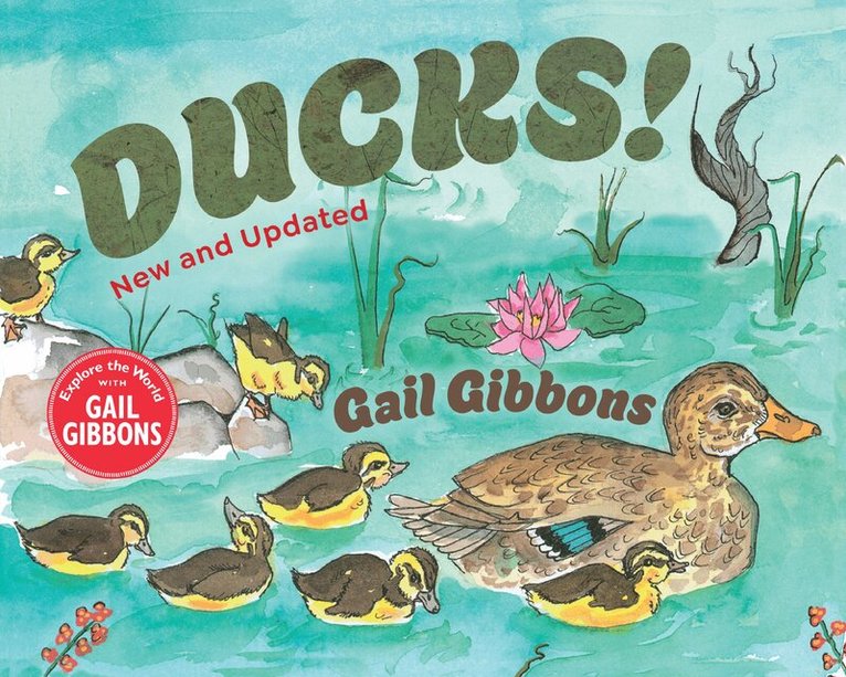 Gail Gibbons - Ducks! (New & Updated), Inbunden