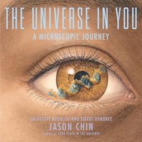 bokomslag The Universe in You: A Microscopic Journey