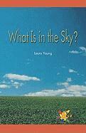 Laura Young - What Is in the Sky?, Häftad