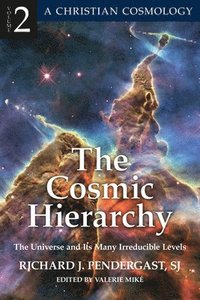 bokomslag The Cosmic Hierarchy 2 The Universe and Its Many Irreducible Levels