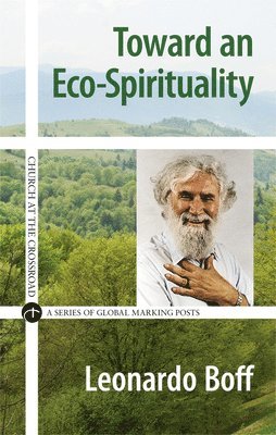 bokomslag Toward an Eco-Spirituality