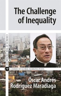 bokomslag The Challenge of Inequality