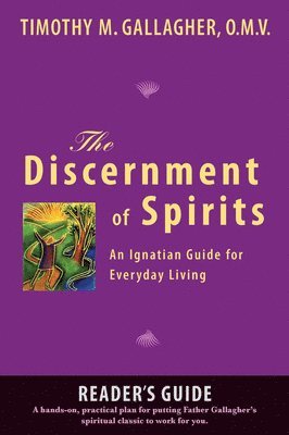 bokomslag Discernment of Spirits: A Reader's Guide