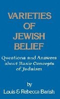 bokomslag Varieties of Jewish Belief