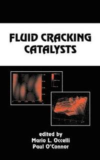 bokomslag Fluid Cracking Catalysts