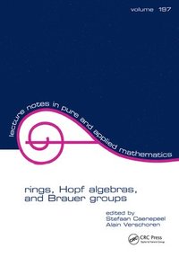bokomslag Rings, Hopf Algebras, and Brauer Groups