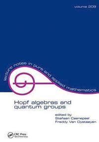 bokomslag Hopf Algebras and Quantum Groups