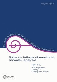 bokomslag Finite or Infinite Dimensional Complex Analysis