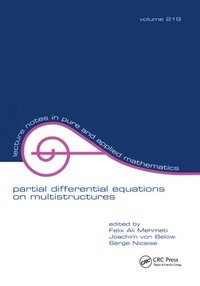 bokomslag Partial Differential Equations On Multistructures