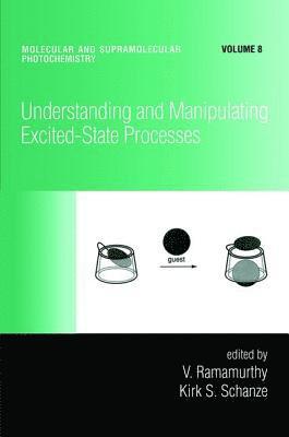 bokomslag Understanding and Manipulating Excited-State Processes