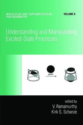 bokomslag Understanding and Manipulating Excited-State Processes