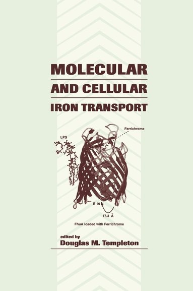 bokomslag Molecular and Cellular Iron Transport