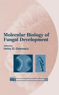 bokomslag Molecular Biology of Fungal Development